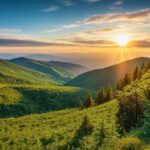 Photo Legal Alternatives