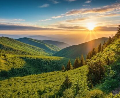 Photo Legal Alternatives