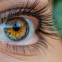 Photo macro ratio