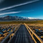 Photo HMB supplements