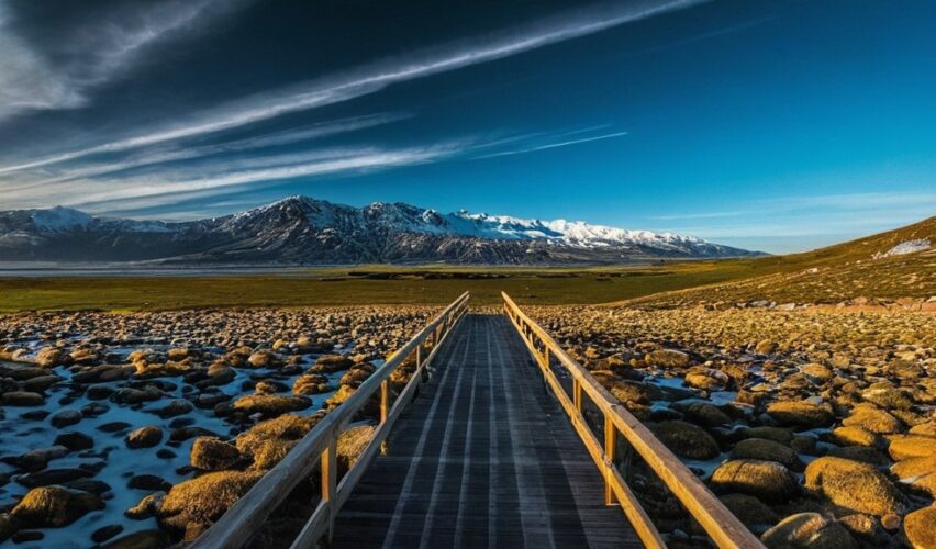 Photo HMB supplements