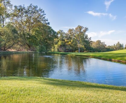 Photo women’s supplement stack
