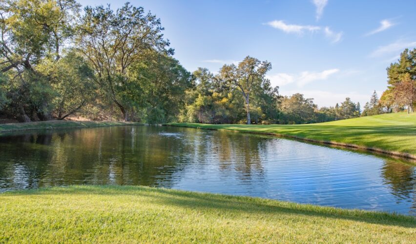 Photo women’s supplement stack